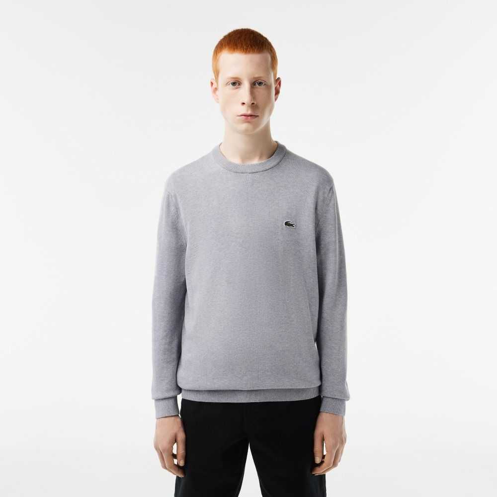 Lacoste Organic Bomull Crew Neck Grå | IZNUM-9651