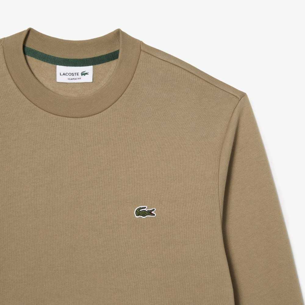 Lacoste Organic Brushed Bomull Beige | ZXSER-1596