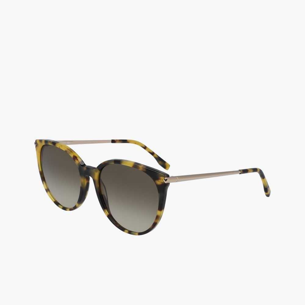 Lacoste Oval Acetate La Piquee Olika Färger | UIGSH-6931