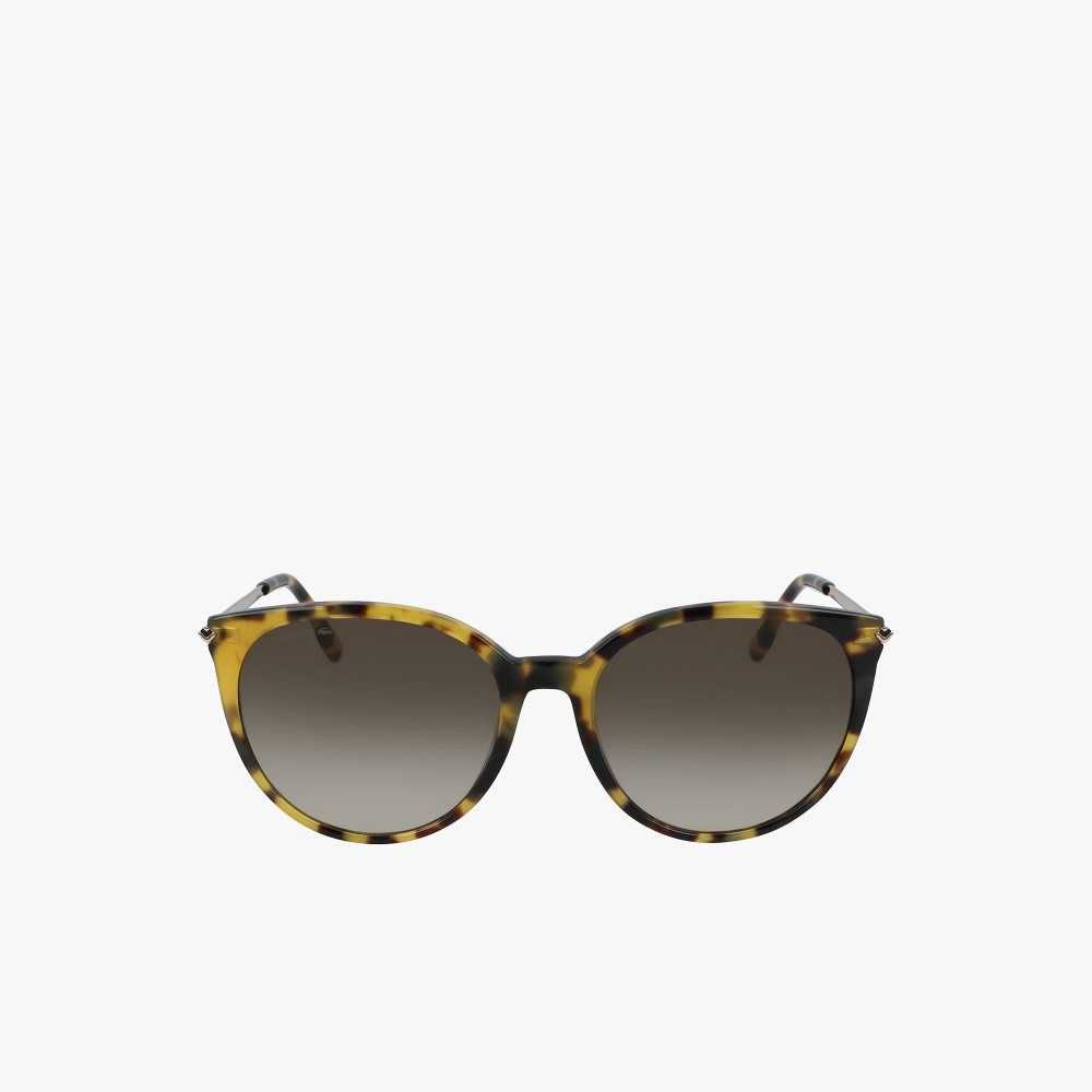 Lacoste Oval Acetate La Piquee Olika Färger | UIGSH-6931