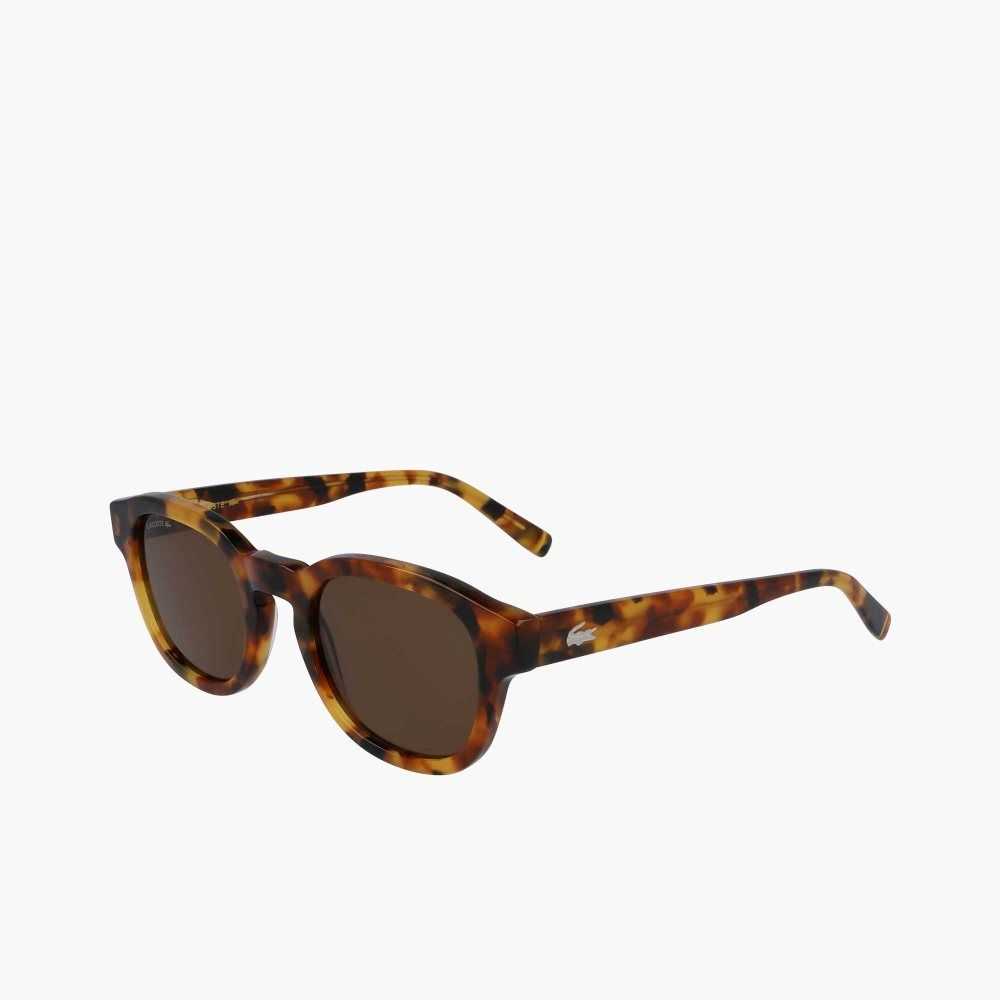 Lacoste Oval Bio Acetate National Geographic Olika Färger | HRWAU-8750