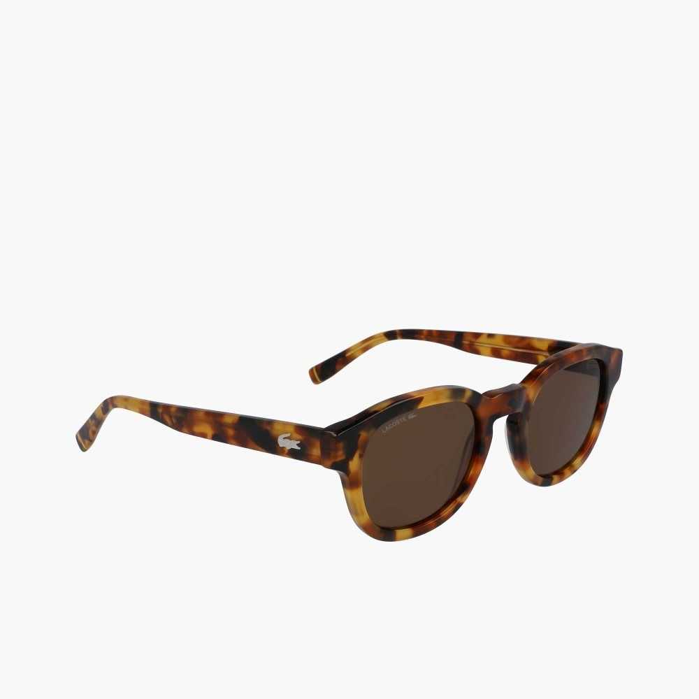 Lacoste Oval Bio Acetate National Geographic Olika Färger | HRWAU-8750