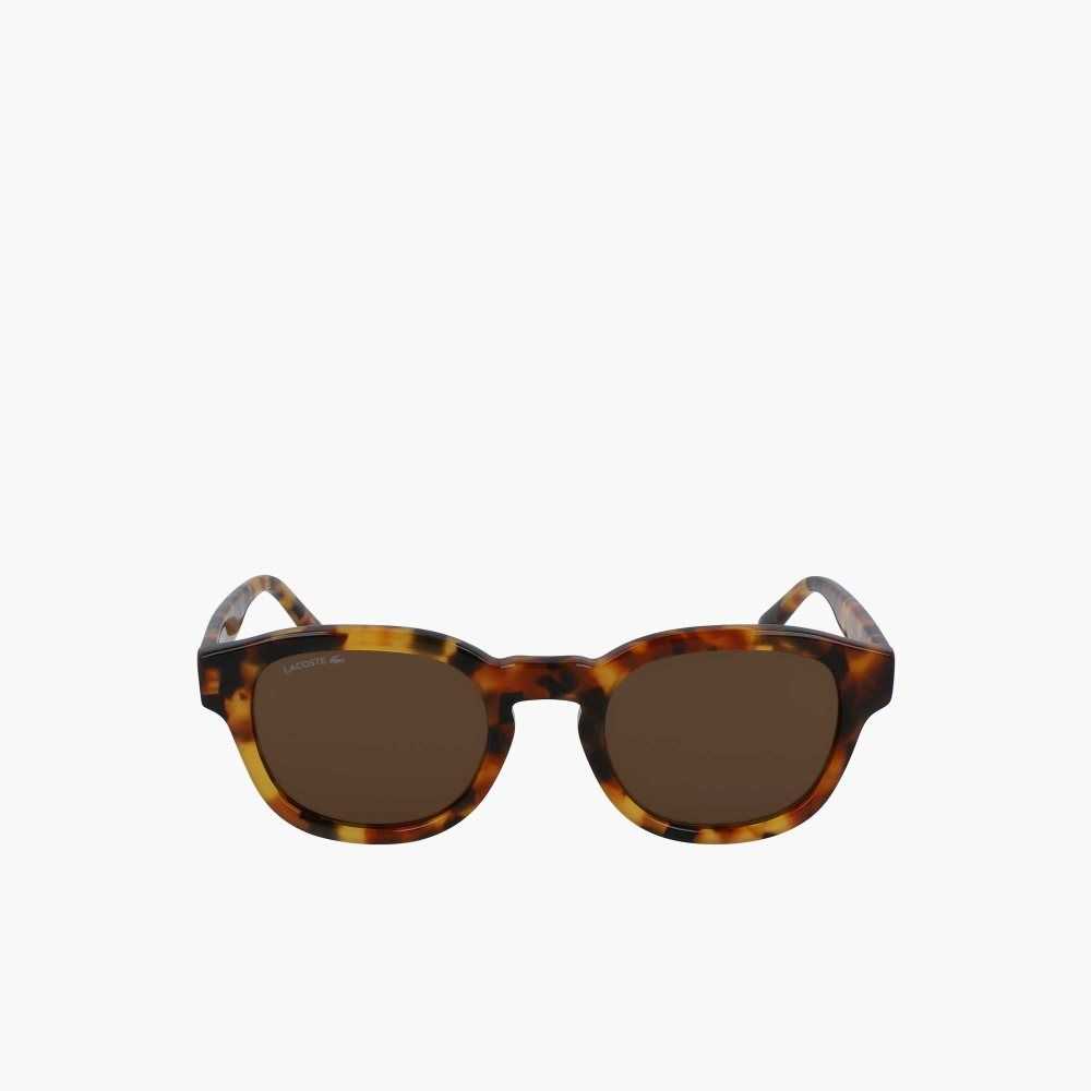 Lacoste Oval Bio Acetate National Geographic Olika Färger | JXUPR-0546