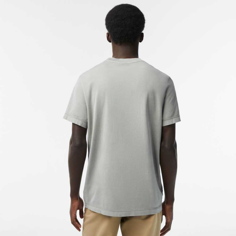 Lacoste Plain Organic Bomull Ljusgröna | HGJAW-6482