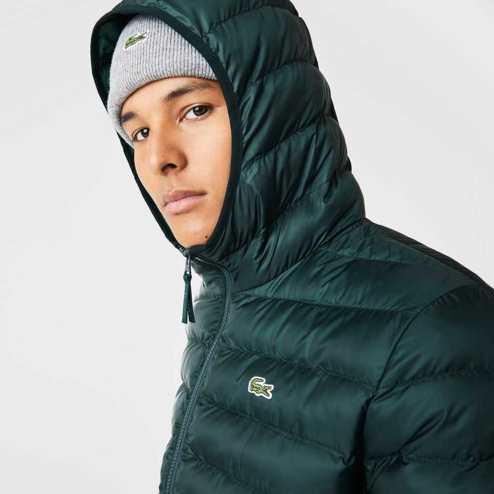 Lacoste Quiltad Hooded Gröna | FNGPS-6547