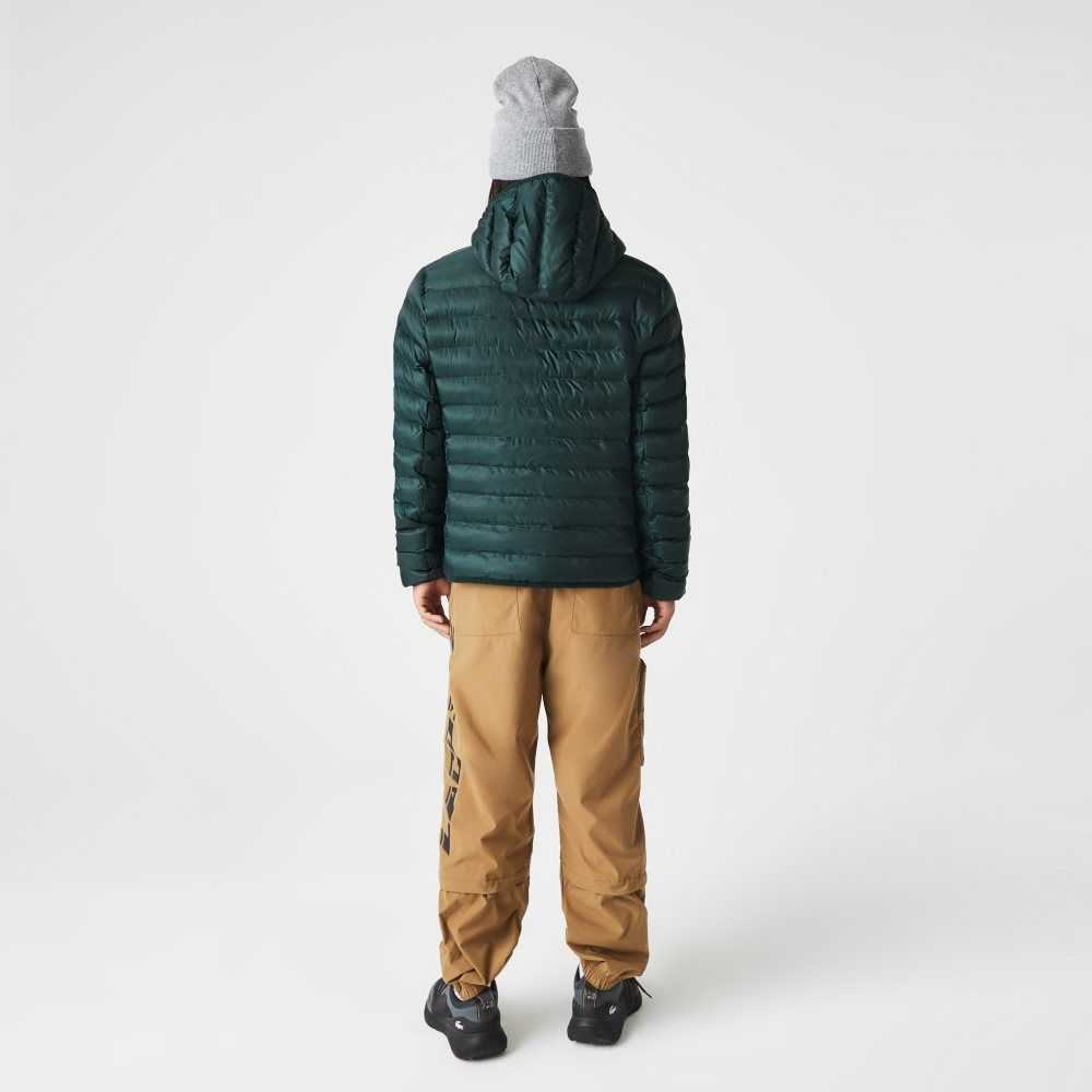 Lacoste Quiltad Hooded Gröna | FNGPS-6547