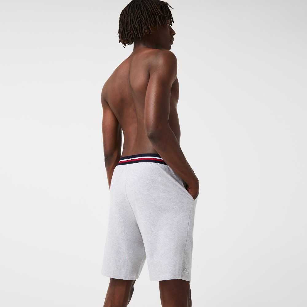 Lacoste Randig-Midja Long Boxer Briefs Grå | XLPQG-6573