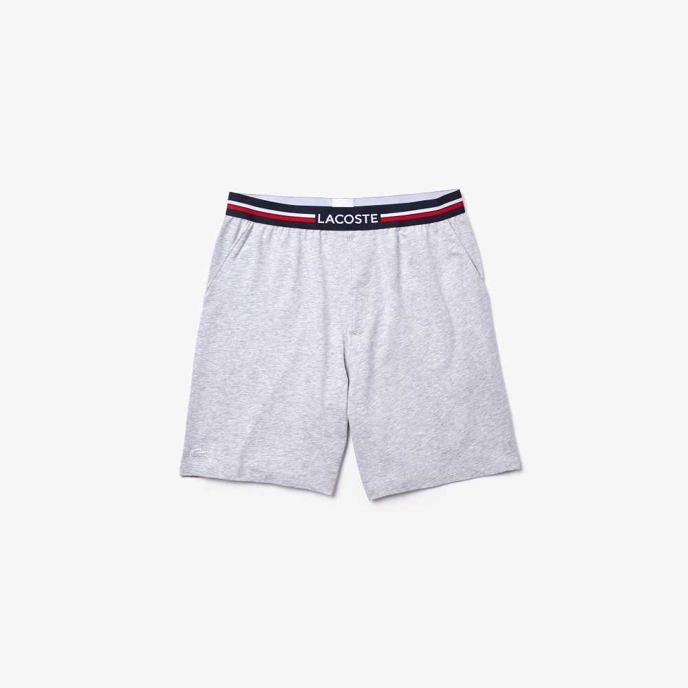 Lacoste Randig-Midja Long Boxer Briefs Grå | XLPQG-6573