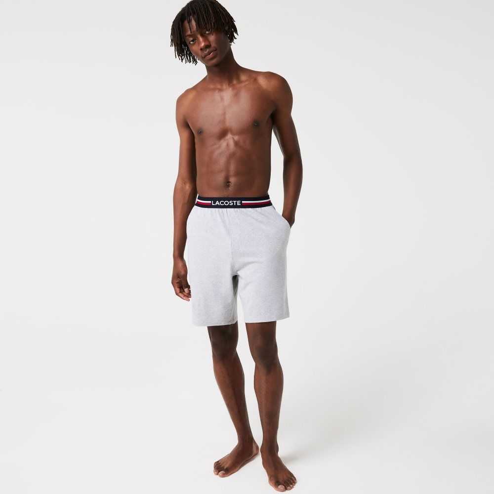 Lacoste Randig-Midja Long Boxer Briefs Grå | XLPQG-6573