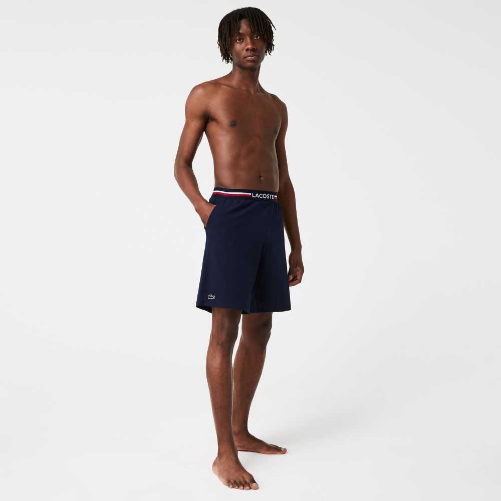 Lacoste Randig-Midja Long Boxer Briefs Marinblå Blå | OSCZB-2534