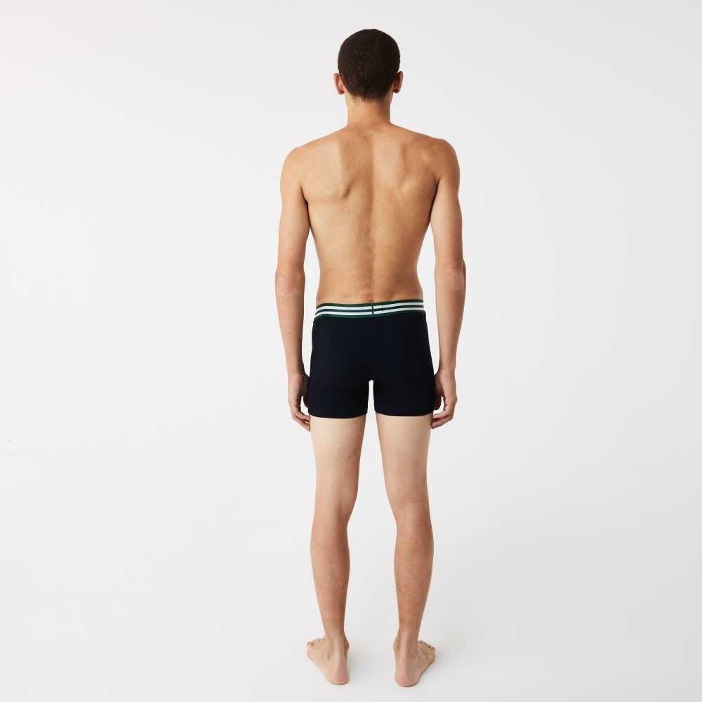 Lacoste Randig Midja Long Stretch Bomull Boxer Brief 3-Pack Grå Vita Marinblå Blå | HGMLX-9780