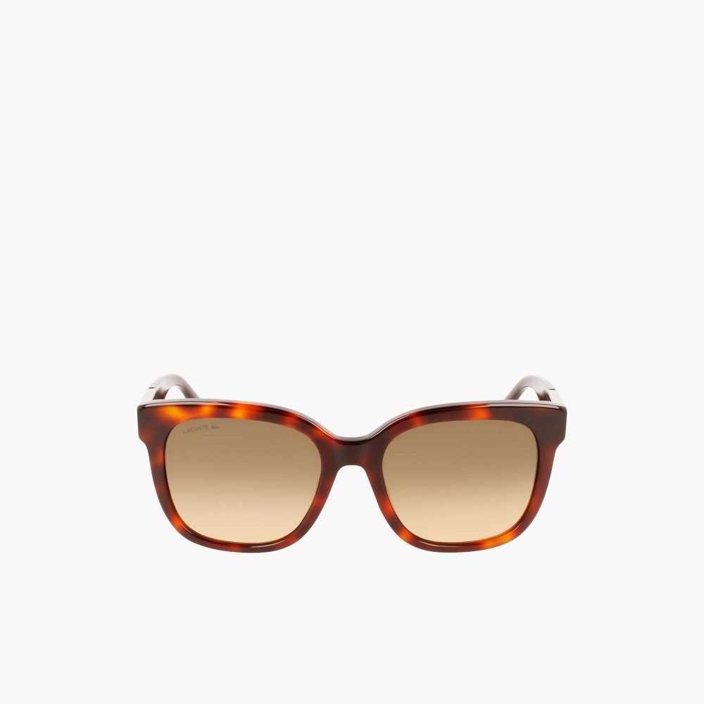 Lacoste Rectangle Acetate Croco Skin Olika Färger | UQMJH-0914