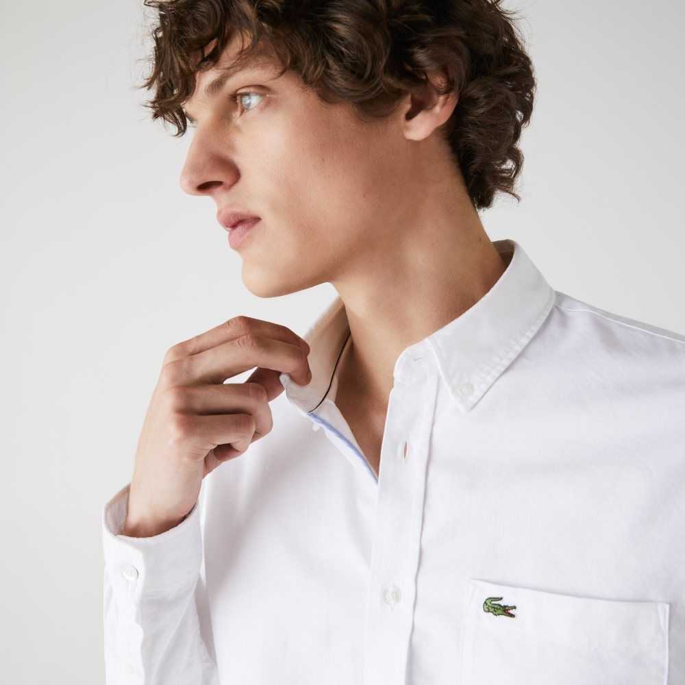 Lacoste Regular Fit Bomull Oxford Vita | SUJON-6294