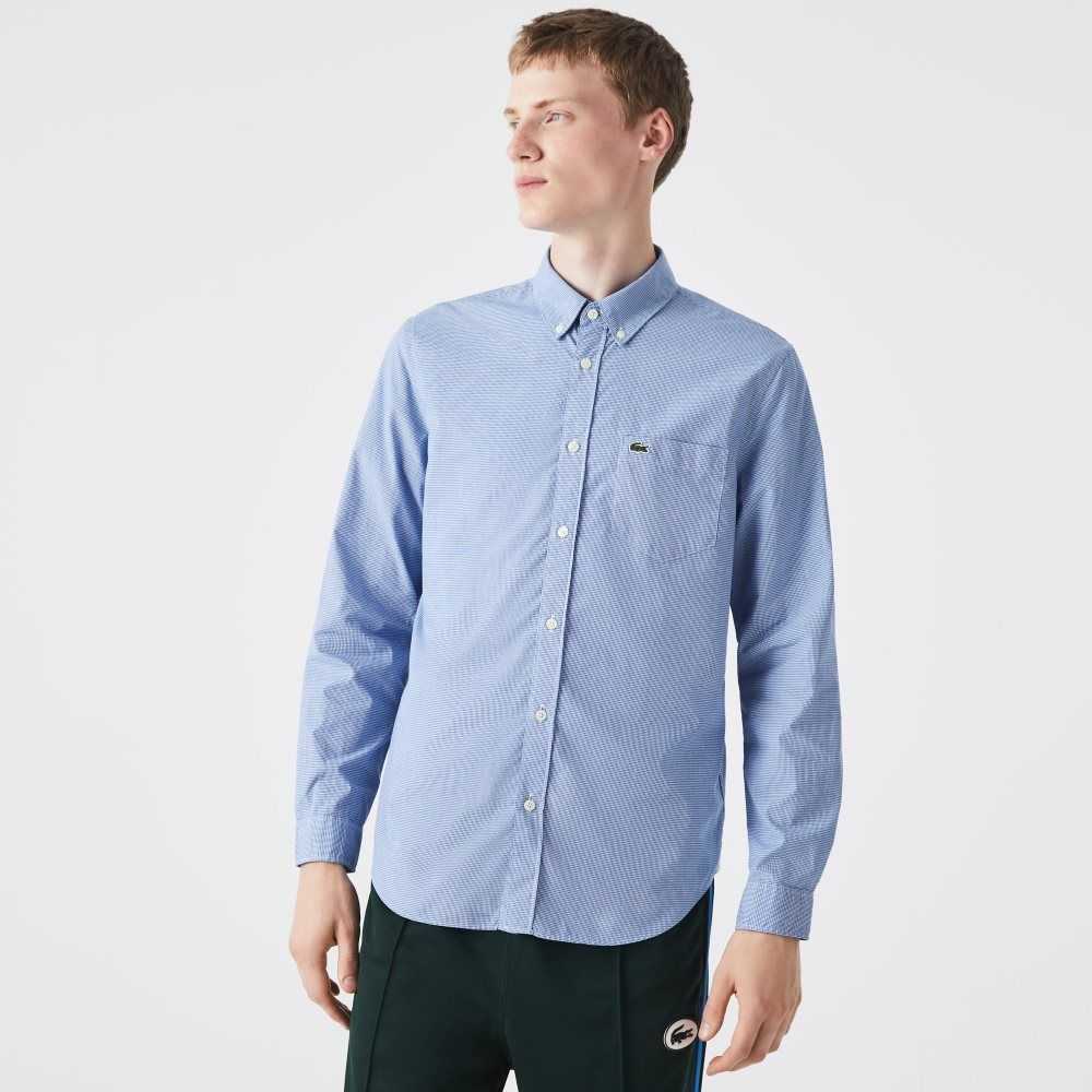 Lacoste Regular Fit Bomull Poplin Vita Blå | XPFMJ-5340