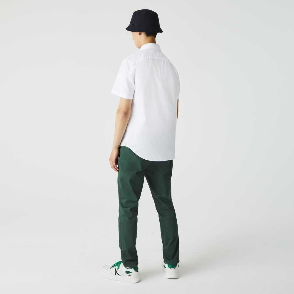 Lacoste Regular Fit Bomull Vita | XEJVB-2376