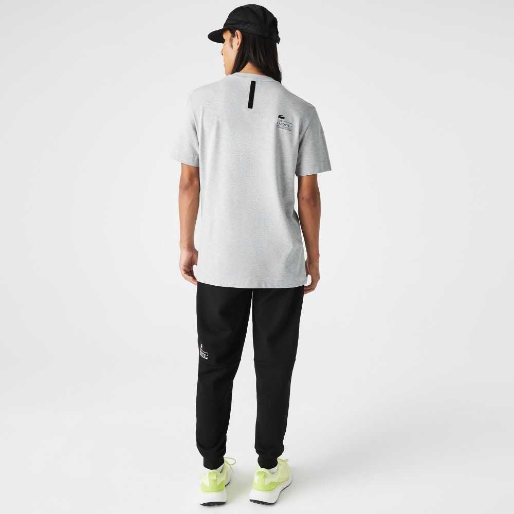 Lacoste Regular Fit Branded Pique Grå | BFOAJ-0732