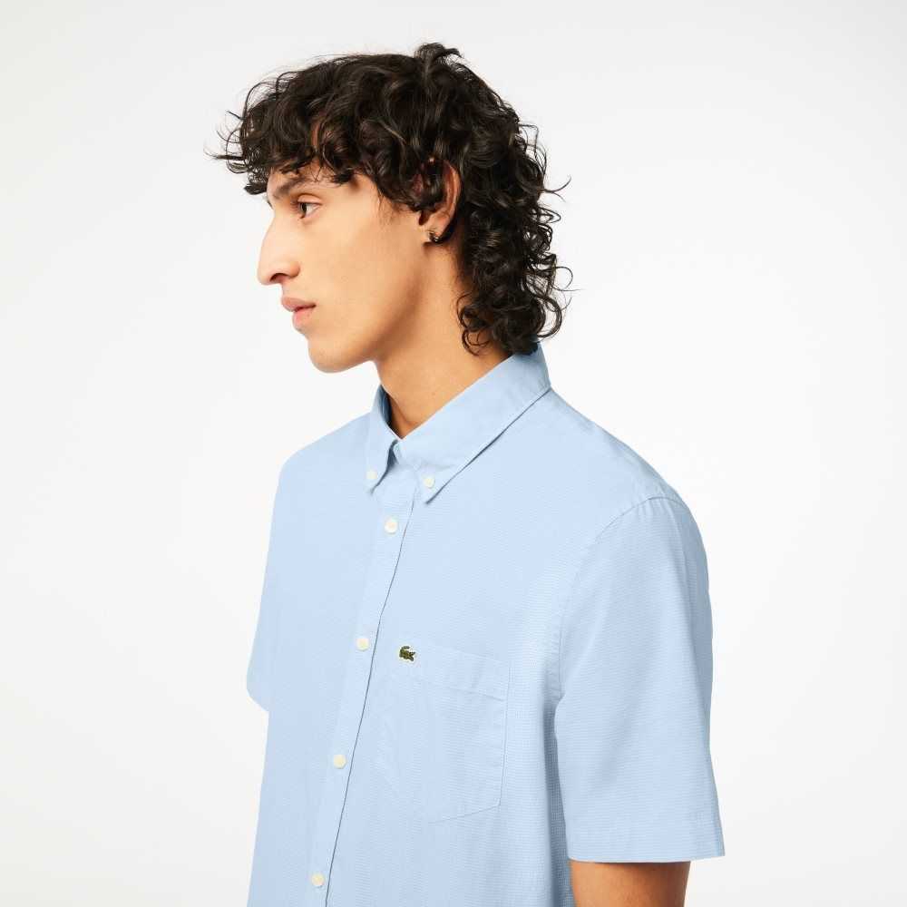 Lacoste Regular Fit Gingham Check Vita Blå | AWLIG-8076