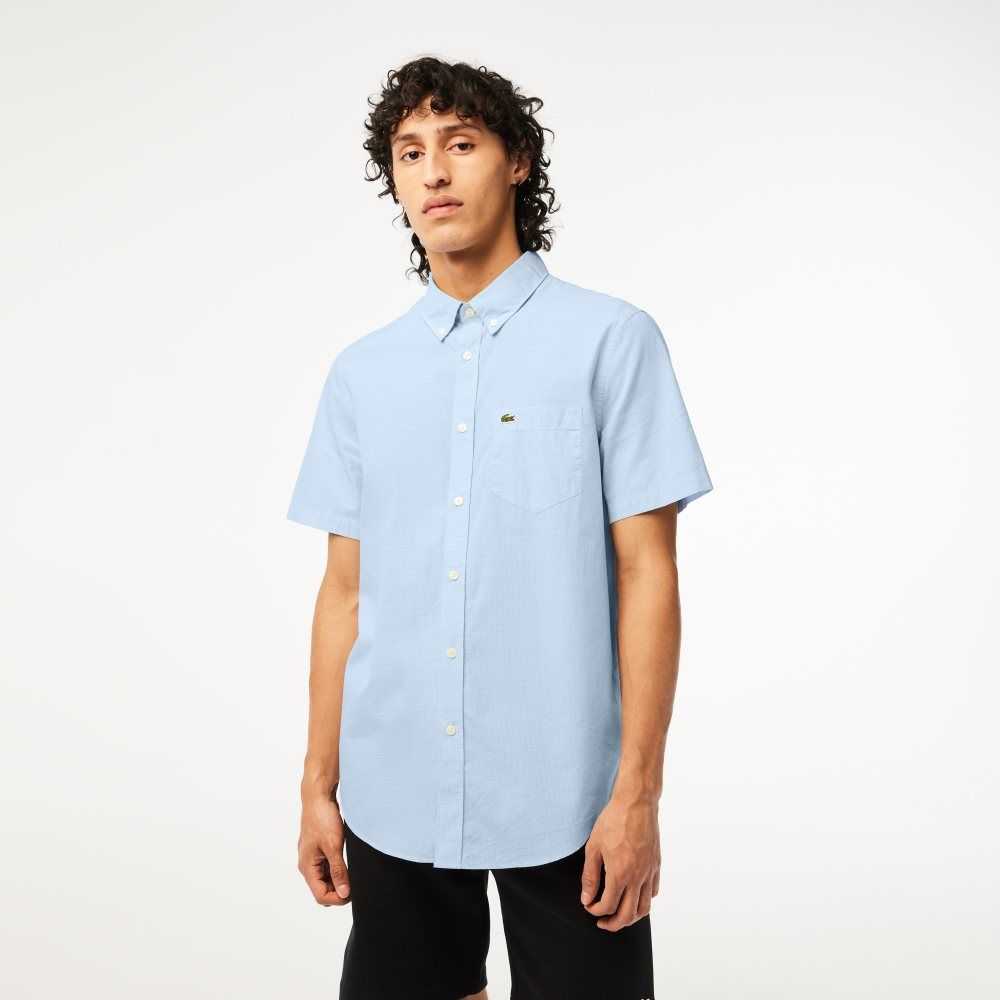 Lacoste Regular Fit Gingham Check Vita Blå | AWLIG-8076