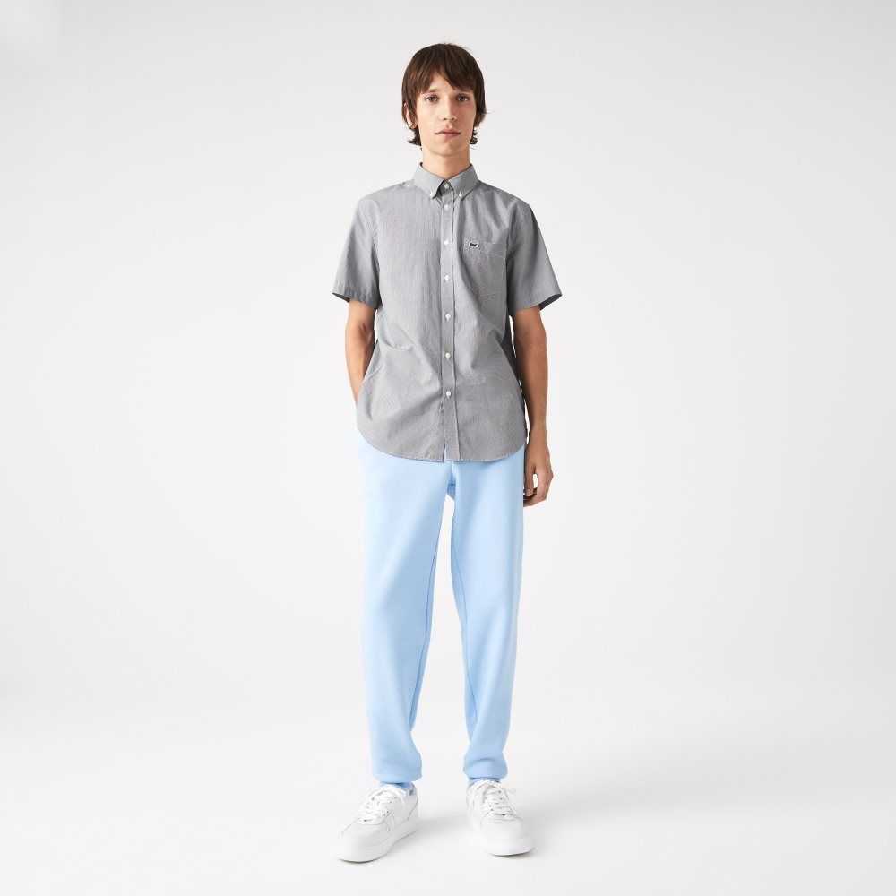 Lacoste Regular Fit Gingham Check Vita Marinblå Blå | XMARN-9274