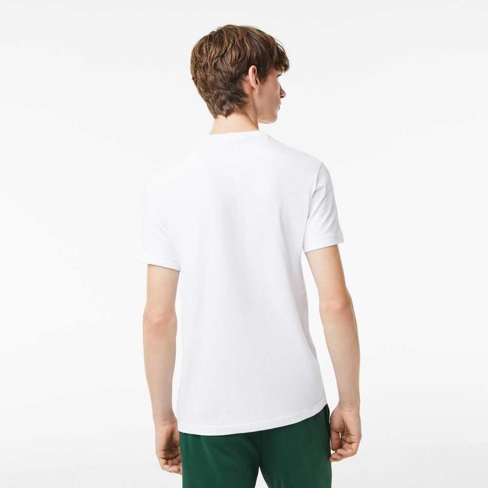 Lacoste Regular Fit Jersey Vita | XTPMA-5084