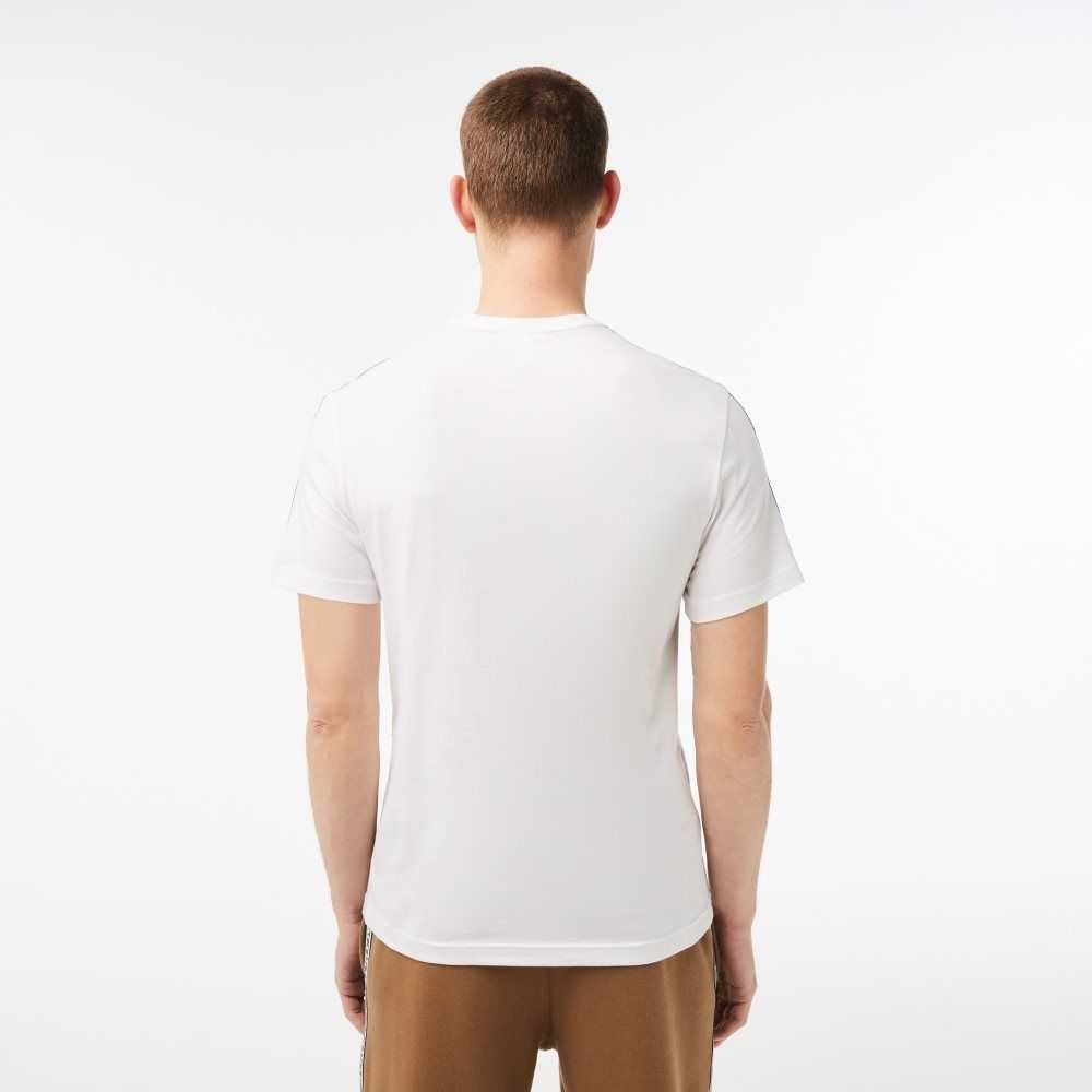 Lacoste Regular Fit Logo Stripe Vita | NSFXT-7510