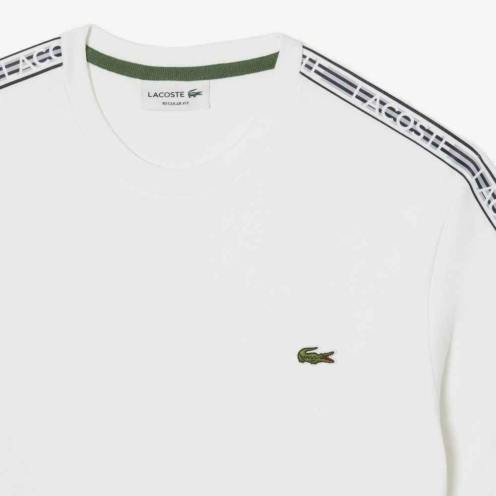 Lacoste Regular Fit Logo Stripe Vita | NSFXT-7510