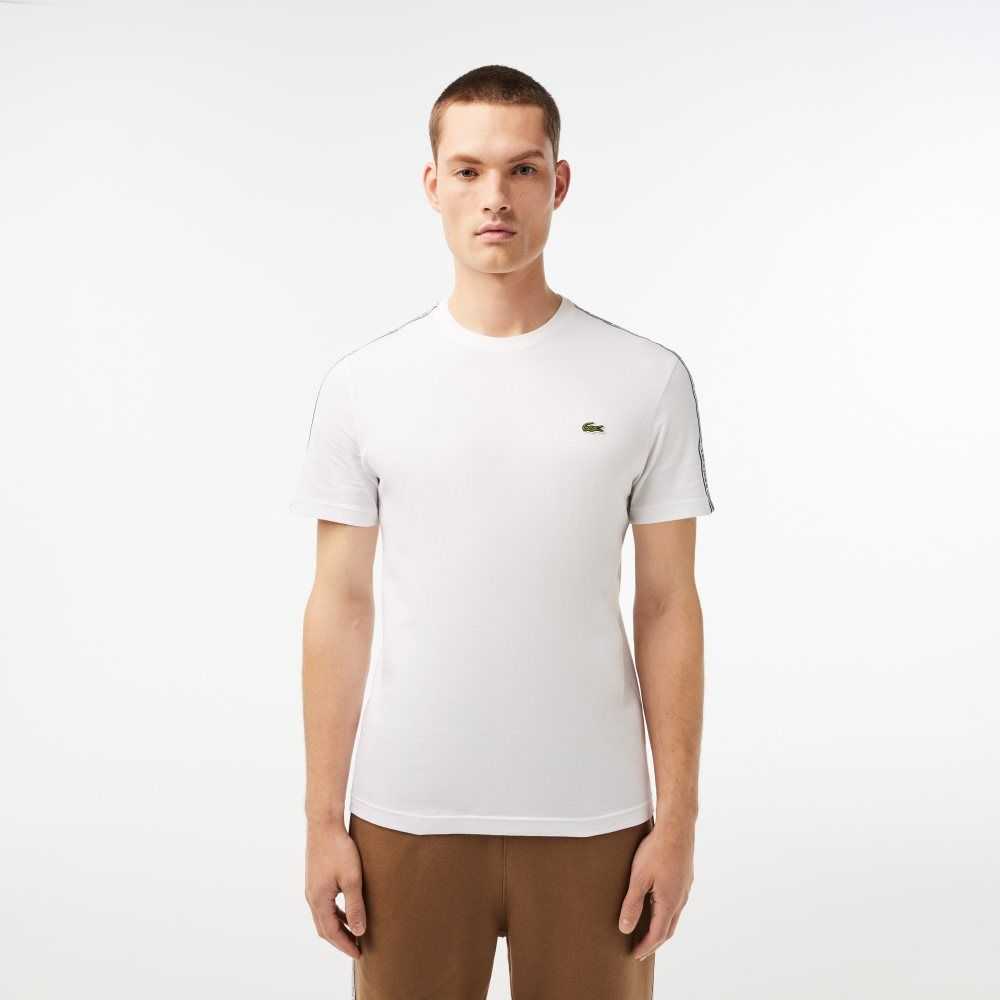 Lacoste Regular Fit Logo Stripe Vita | NSFXT-7510