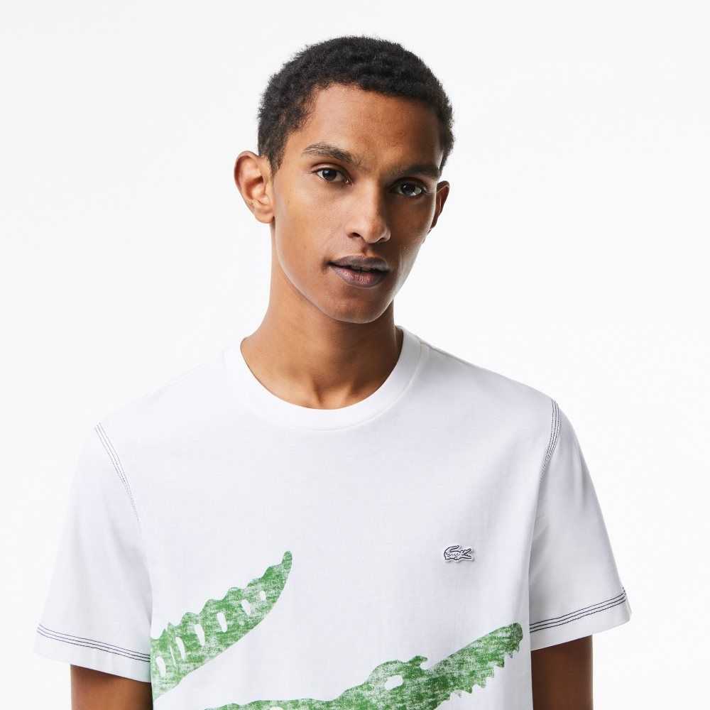 Lacoste Regular Fit Organic Bomull Jersey Vita | FGRAL-2638