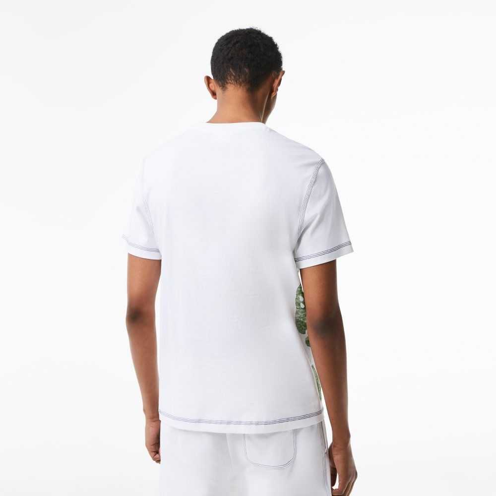 Lacoste Regular Fit Organic Bomull Jersey Vita | FGRAL-2638