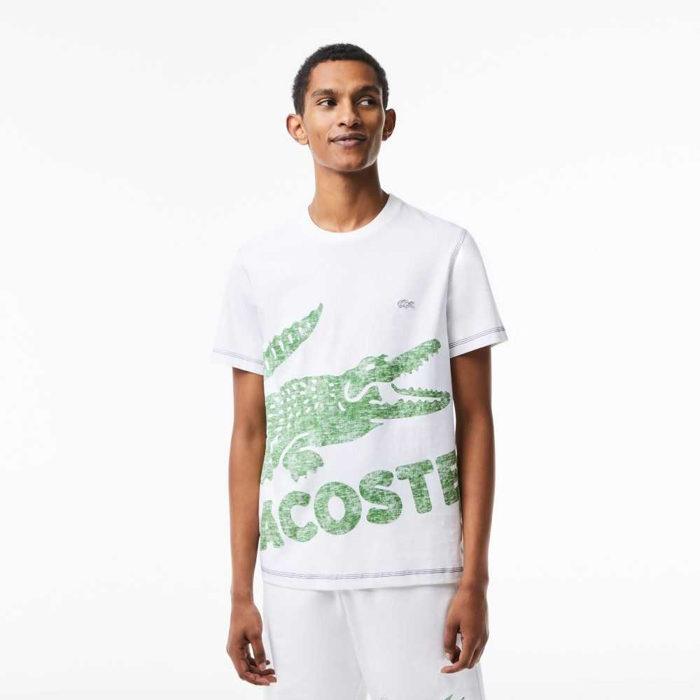 Lacoste Regular Fit Organic Bomull Jersey Vita | FGRAL-2638