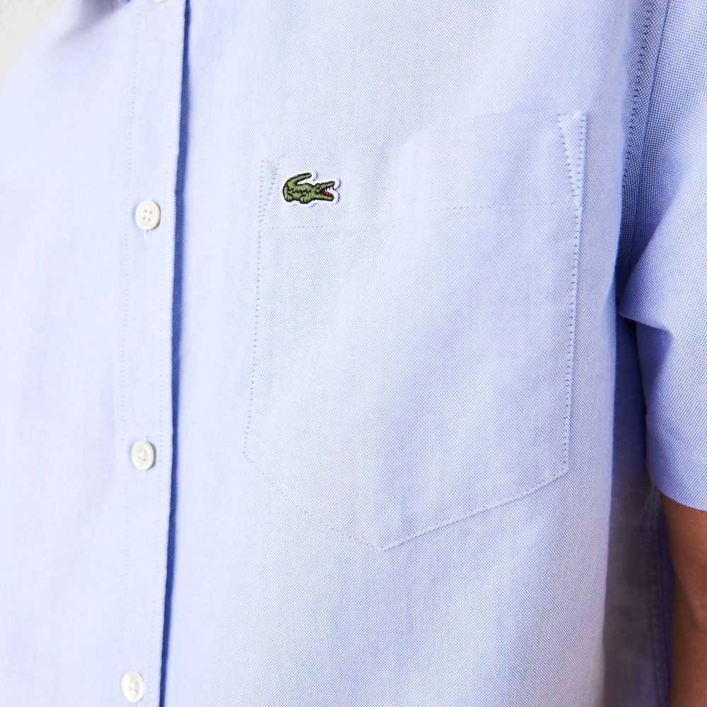 Lacoste Regular Fit Oxford Bomull Blå | FWVZM-1872