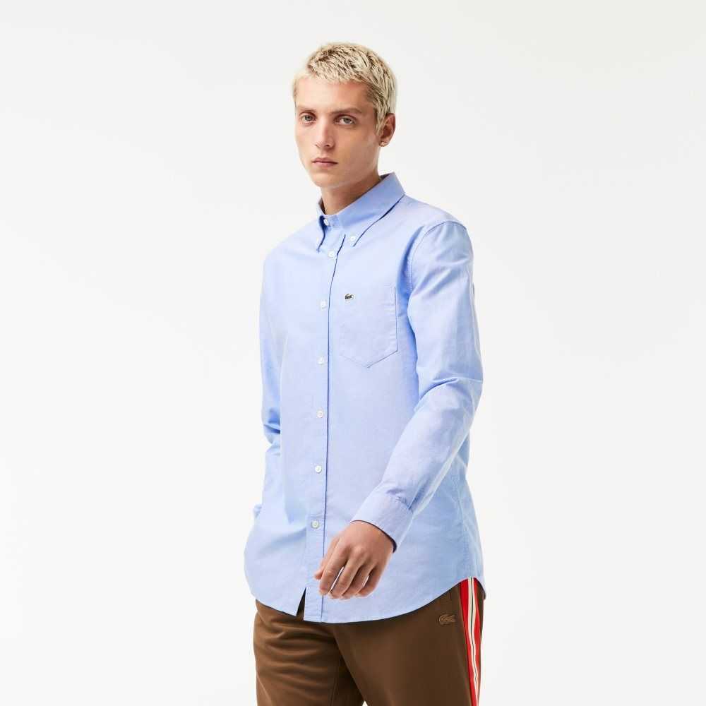 Lacoste Regular Fit Oxford Bomull Blå | HCFQW-0561