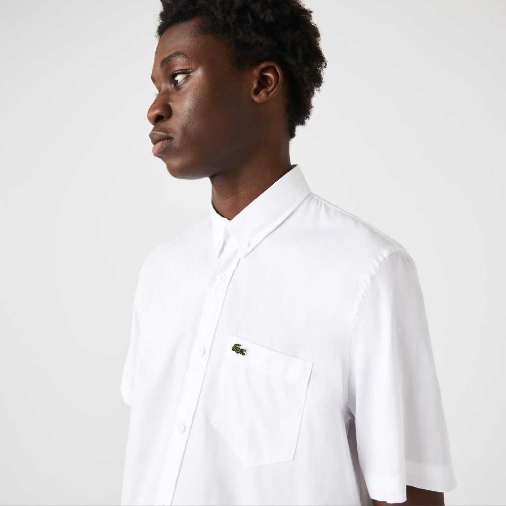 Lacoste Regular Fit Oxford Bomull Vita | DHFXE-9758