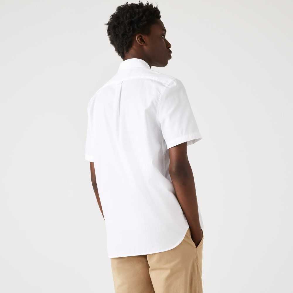 Lacoste Regular Fit Oxford Bomull Vita | DHFXE-9758