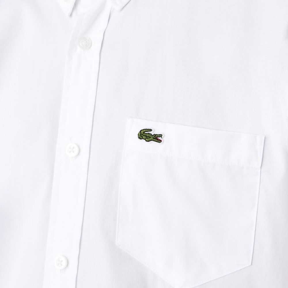 Lacoste Regular Fit Oxford Bomull Vita | DHFXE-9758