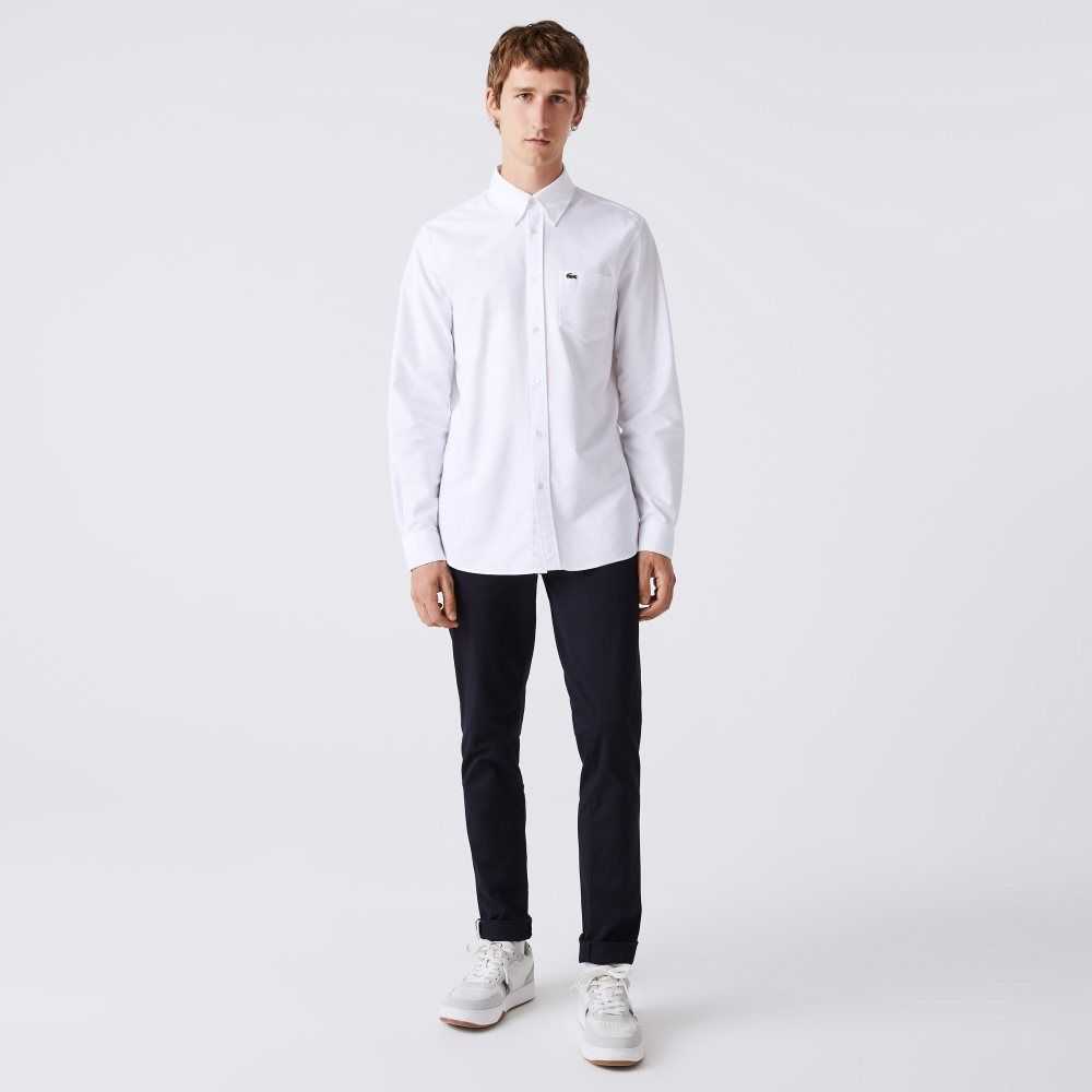 Lacoste Regular Fit Oxford Bomull Vita | UPHYZ-3589