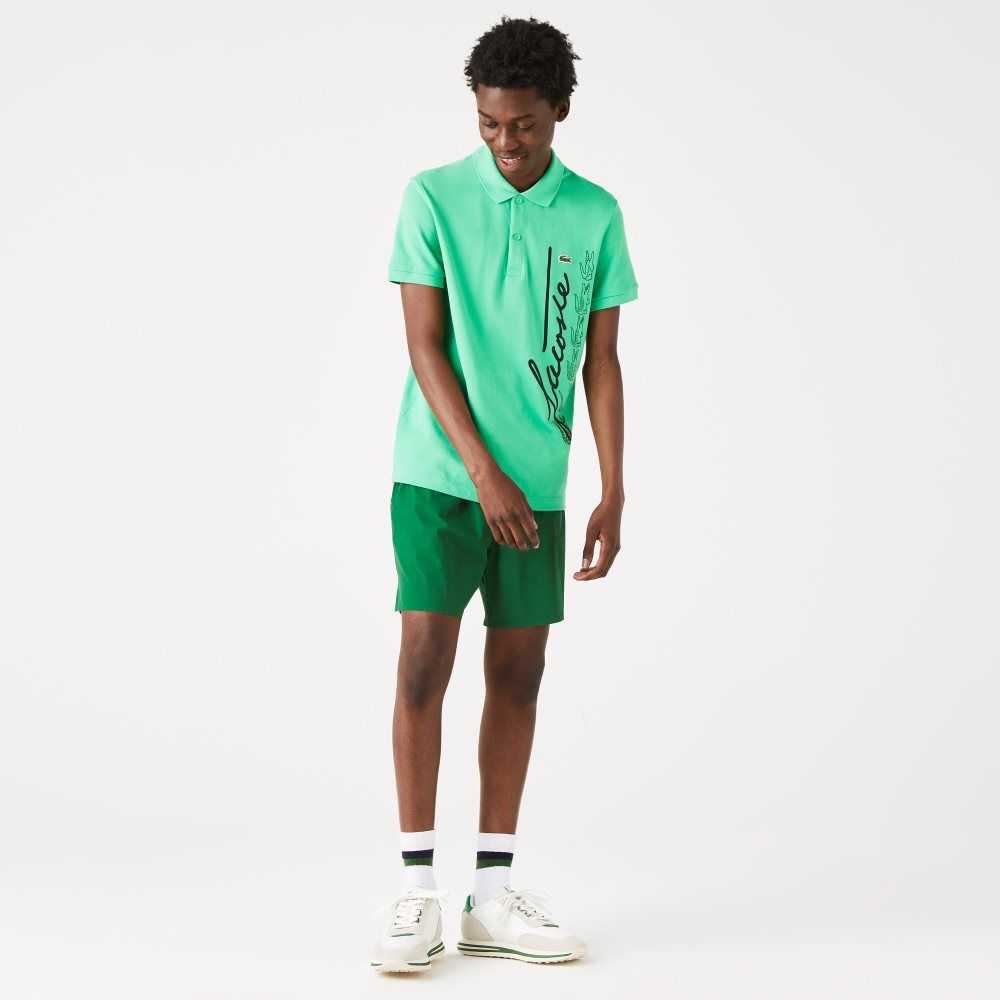 Lacoste Regular Fit Signature Bomull Pique Gröna | WKTDA-6193