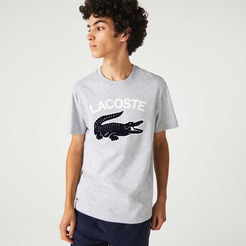 Lacoste Regular Fit XL Crocodile Print Grå | HFULJ-4861