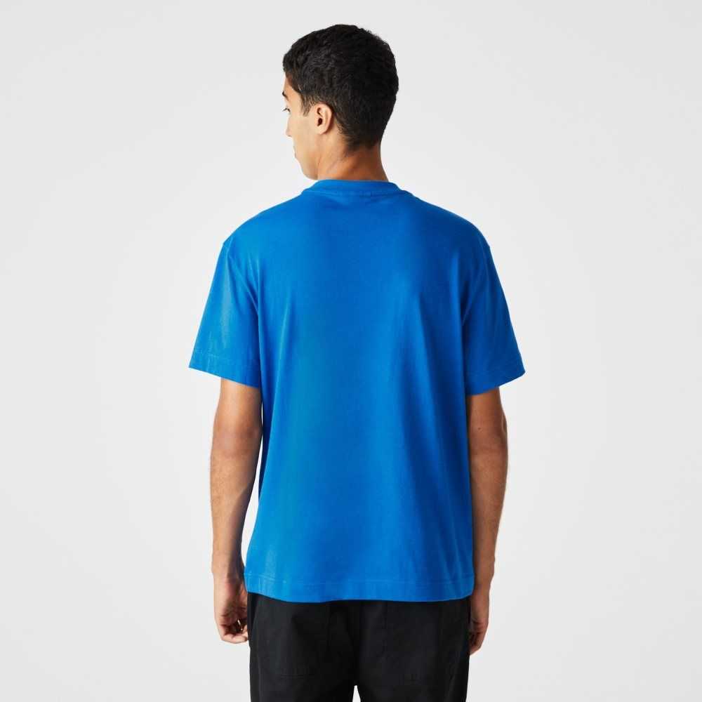 Lacoste Relaxed Fit Crocodile Blå | ZVXOG-5469