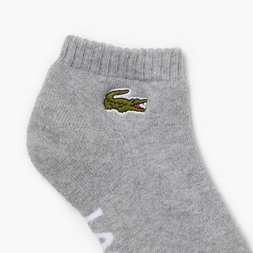 Lacoste SPORT Branded Stretch Bomull Low-Cut Grå Vita | NGUTJ-7829