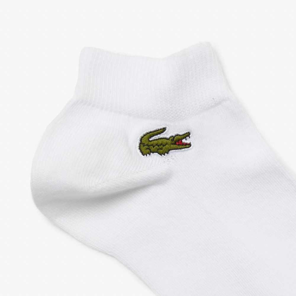 Lacoste SPORT Low-Cut 3-Pack Vita | GWQJD-9218