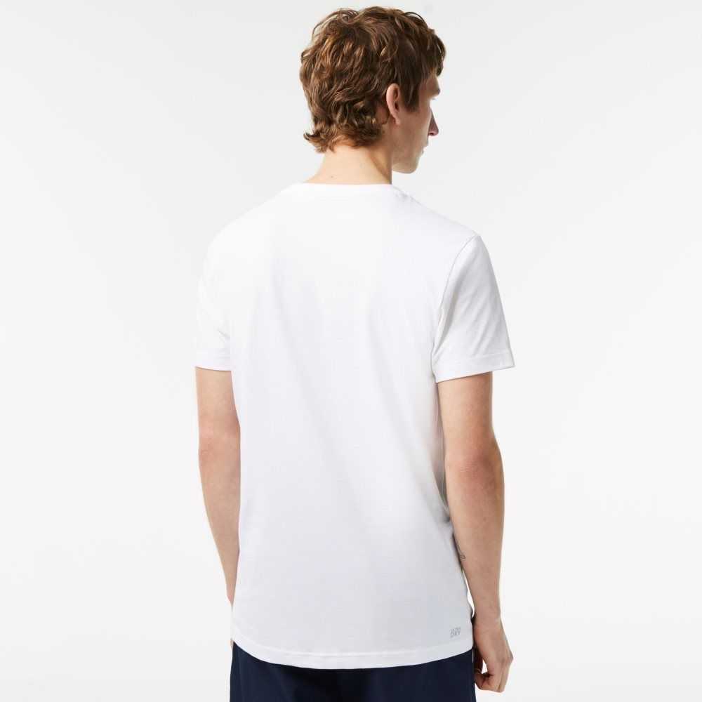 Lacoste SPORT Regular Fit with Contrast Branding Vita | FKYJO-1729