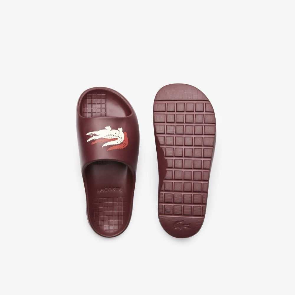 Lacoste Serve 2.0 Evo Vita | HNLMP-8051