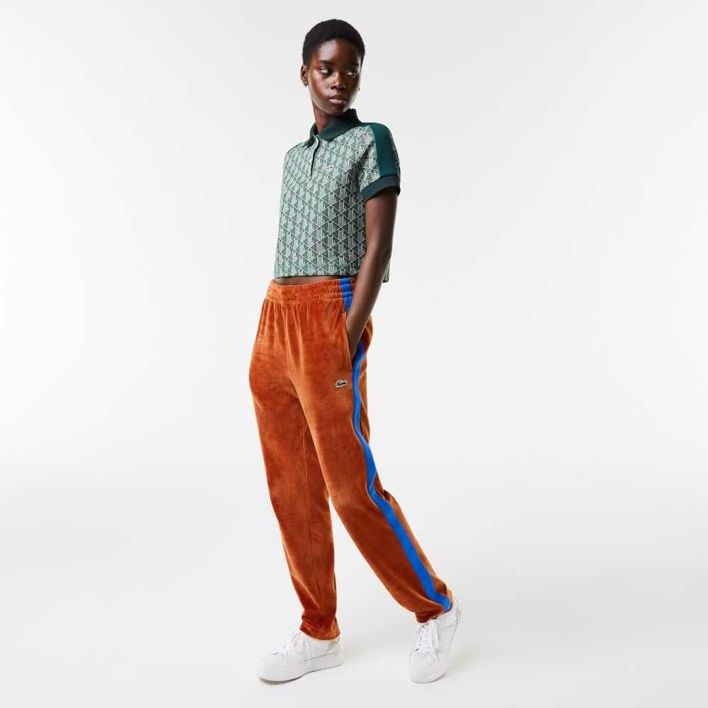 Lacoste Side Contrast Band Trackpants Bruna | WACGT-3506