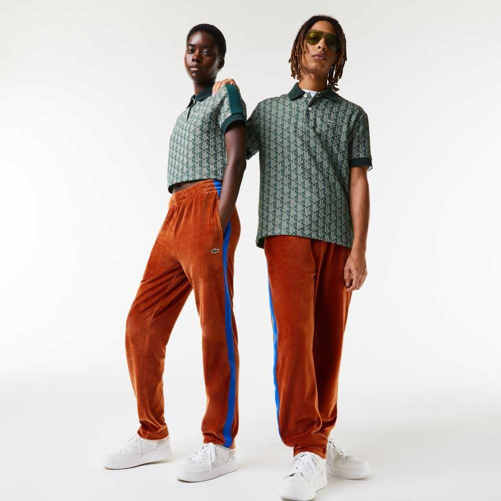 Lacoste Side Contrast Band Trackpants Bruna | WACGT-3506