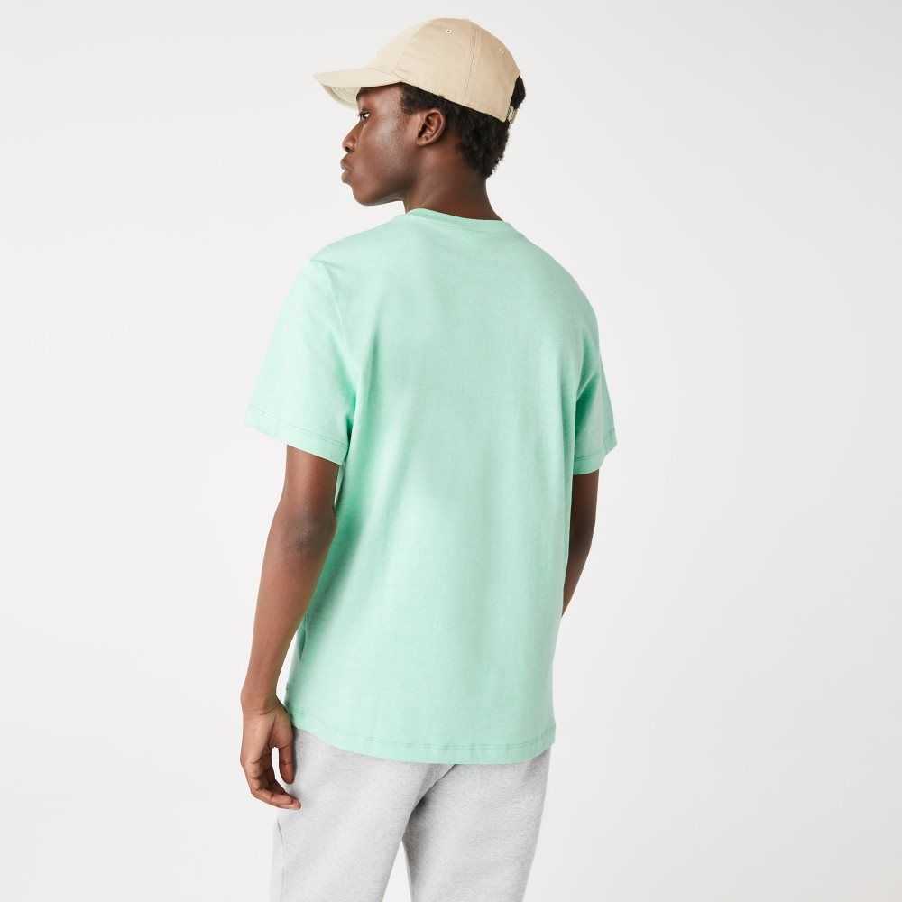 Lacoste Signature And Crocodile Print Crew Neck Bomull Gröna | KMJSL-1409