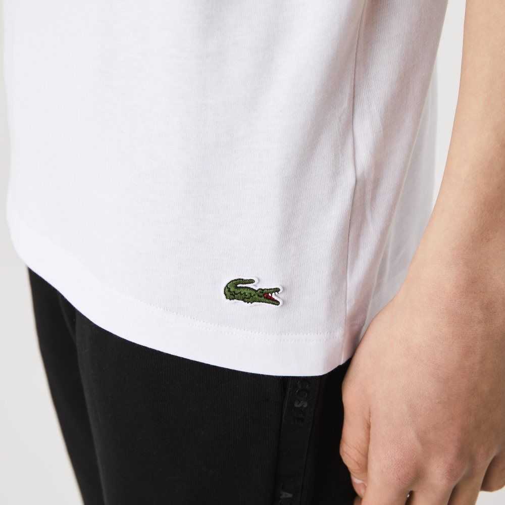 Lacoste Signature And Crocodile Print Crew Neck Bomull Vita | POXJG-4285