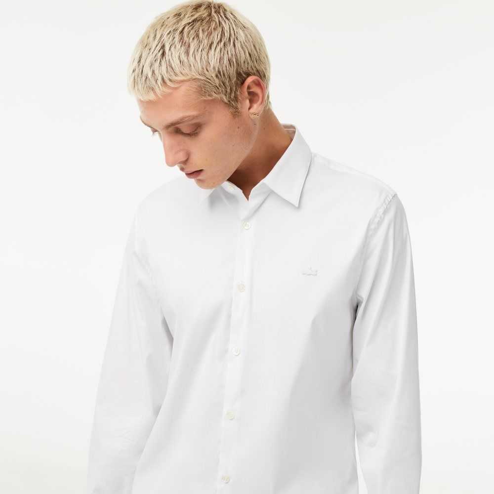 Lacoste Slim Fit French Collar Bomull Poplin Vita | EJYLR-8951