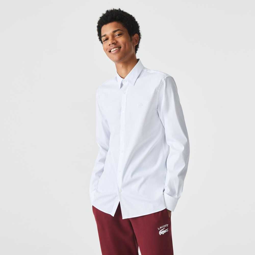 Lacoste Slim Fit French Collar Bomull Poplin Vita | EJYLR-8951