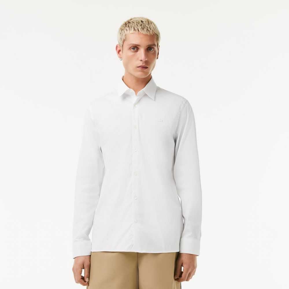 Lacoste Slim Fit French Collar Bomull Poplin Vita | EJYLR-8951